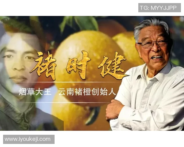 足球明星的传奇人生与奋斗历程简述